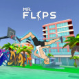 Mr Flip img